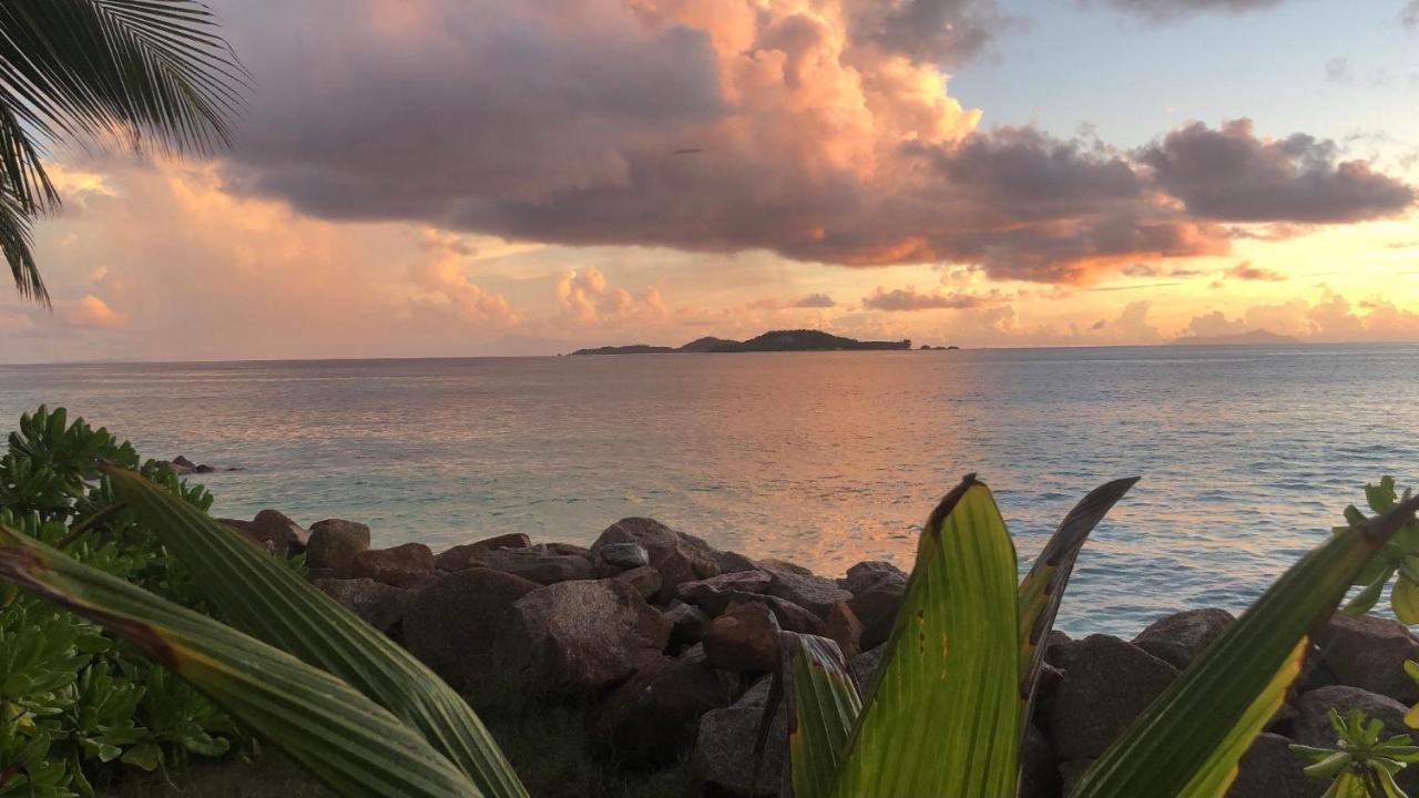Sunset Cove Villa Grand' Anse Buitenkant foto