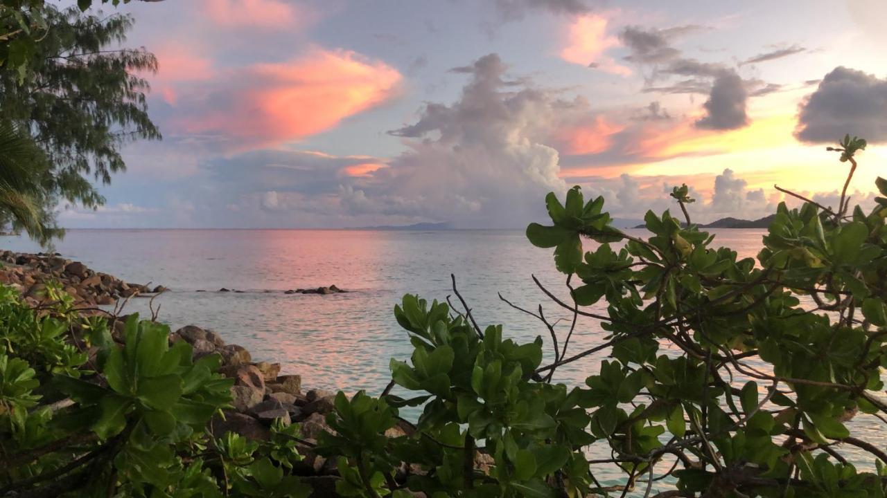 Sunset Cove Villa Grand' Anse Buitenkant foto